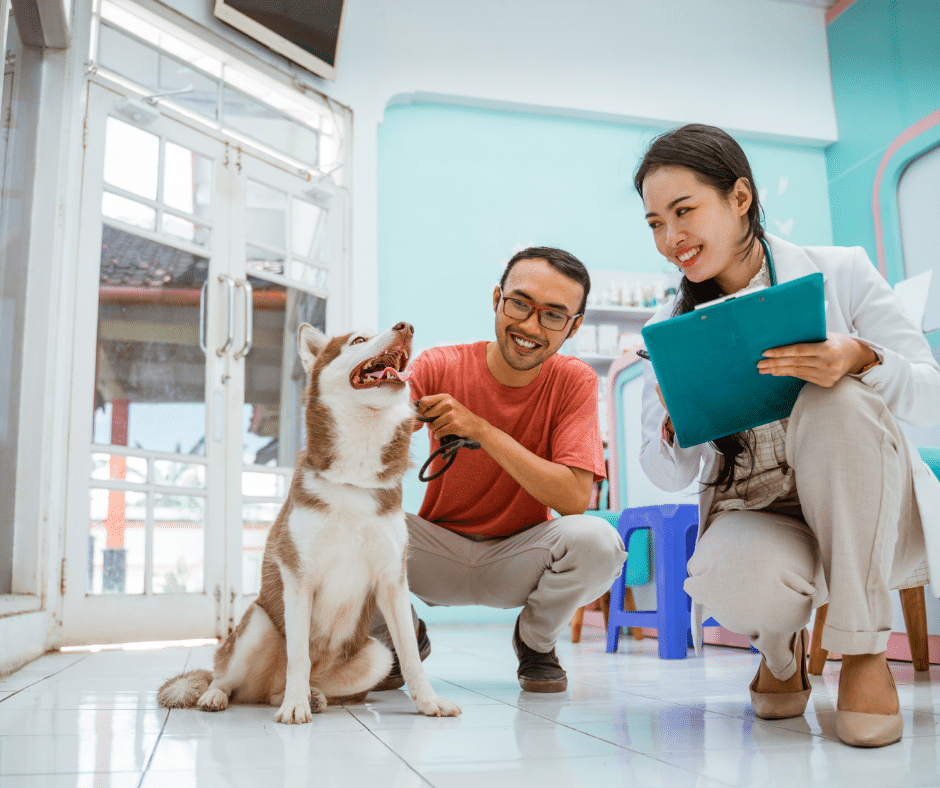 PIXIE Smart Spaces - Doctor and Vet Clinic Lighting